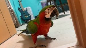 Today’s Kiwi 🥝Hideaki comes back to life again and again