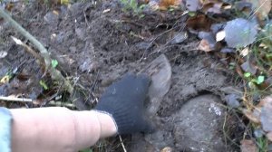 Фильм 63. Партизанский лес. Часть 3