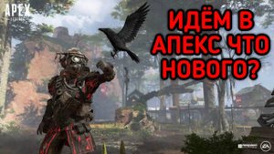 APEX LEGENDS СТРИМ