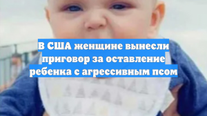 В США женщине вынесли приговор за оставление ребенка с агрессивным псом
