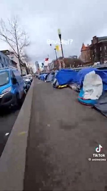 Цветущий европейский сад