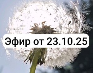 Эфир от 23.10.25