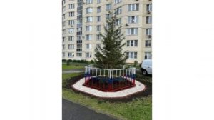 в Челябинске ради тротуара к миграционному центру вырубили целую аллею