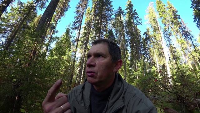 Поехал готовится к зимней охоте. Чищу путик где стоят капканы. 1 серия