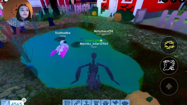 мини обзор на семью птиц (Хеллоуин)