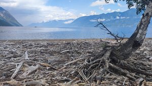 Золотое кольцо Алтая. Весь тур за 5 минут.