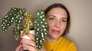 Мои интерьерные растения (2025)