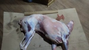 купил себе на день рождения баранчика