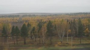 Тайшет - Нижнеудинск, вид из окна поезда (Транссибирская магистраль).