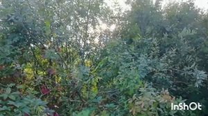 Побережём свою природу