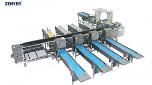 Автоматическая линия для сортировки и упавковки яиц 109 (30.000 яиц/час)