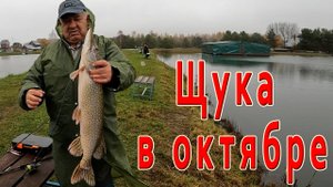 «Щука в октябре. Одна поклёвка на двоих, но какая!