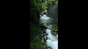 Расслабляющая фоновая музыка, для медитации, концентрации и покоя.