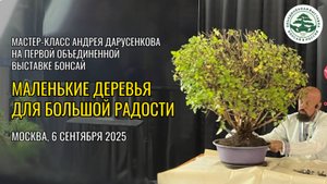МАЛЕНЬКИЕ ДЕРЕВЬЯ ДЛЯ БОЛЬШОЙ РАДОСТИ