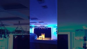 Александр Князев, орган. Бах. Музыкальные Библии.7