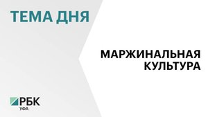 Урожай масличных культур в Башкортостане составил почти 800 тыс. тонн