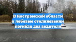 В Костромской области в лобовом столкновении погибли два водителя