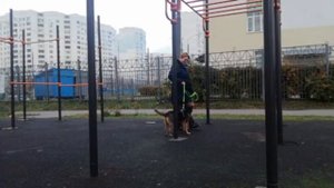 воздействие натяжением поводка