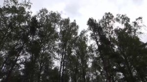 День в событиях от 22.10.2025