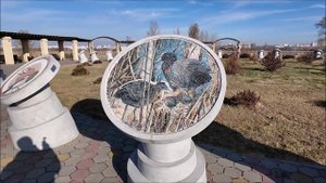 Погода не дает мне сидеть дома // Природный парк Птичья гавань г. Омск