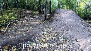 Прогулки по лесу.  К верхней дороге через трамплины.