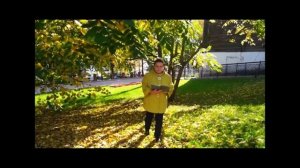 Читаем Бунина