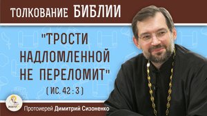 "Трости надломленной не переломит" (Ис. 42:3). Протоиерей Димитрий Сизоненко
