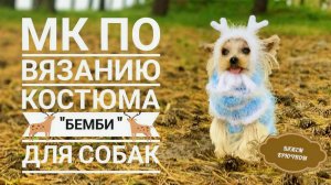 🦌 Просто очарование! Жилетка для собачки крючком | МК костюм «Бемби» | Серия 1