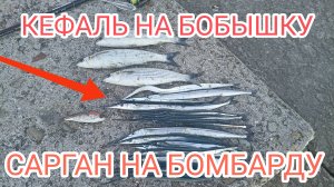 БОМБАРДА на САРГАНА. САМАЯ БЮДЖЕТНАЯ СНАСТЬ.