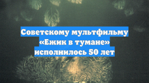 Советскому мультфильму «Ежик в тумане» исполнилось 50 лет
