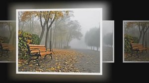 ИМПРЕССИЯ И эти дожди затяжные...