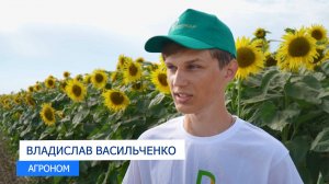 Долгов групп