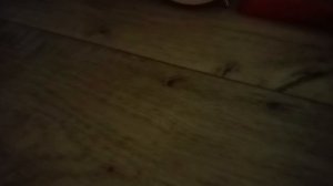 Новый 🏠 у кошки малышки😻😽😺💖.mp4