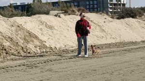 АНАПА. ГУЛЯЕМ ПО БЕРЕГУ МОРЯ.
ВОДА + 17. ВОЗДУХ +18.