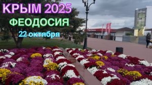 КРЫМ 2025 | ФЕОДОСИЯ | 22 октября ❤️🌊⛰️☀️🐬🏄♂️🏖️