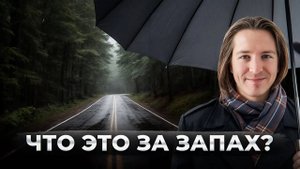 Запах свежести после дождя — что на самом деле мы вдыхаем?