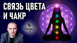 Насколько цвета чакровой системы передают суть. Феноменальная психология цвета