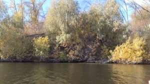 Нано окунь...тоже рыба🎣😀