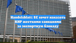 Handelsblatt: ЕС хочет наказать КНР жесткими санкциями за экспортную блокаду