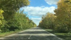 🍁ОСЕННИЕ ПЕЙЗАЖИ ИЗ ОКНА АВТОМОБИЛЯ 🍂ПОД КРАСИВУЮ ПЕСНЮ ♥️Я ЛЮБЛЮ ТЕБЯ КАК ПЕРВЫЙ ВДОХ ВЕСНЫ💞