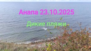 Анапа 23.10.2025 Дикие пляжи