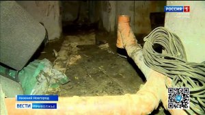 Запах канализации, сырость и плесень