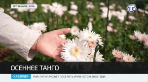В Крыму стартовал Бал хризантем