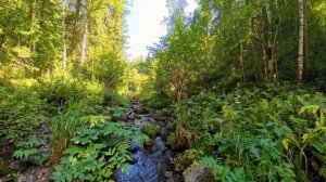 р.Макачек 2.Тропа от Кии до водопада.