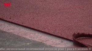 Четверть часа 23 октября 2025