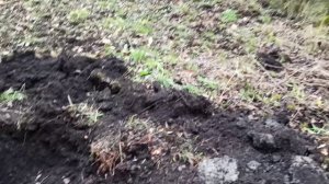 wildberries таль 2 т