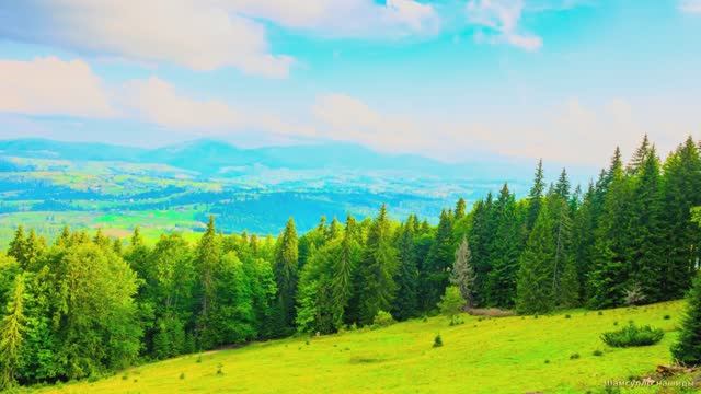 #Коран#АльМаида#СамыеКрасивыеМеста#Relaxation##Islam#Quran#AlMaida#Minshawiy #4кВидео#4часть#