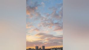 Никита Миночкин — Без тебя мир не цветёт