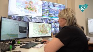 Смоленские депутаты утвердили новые правила призыва и штрафы за отсутствие ОСАГО