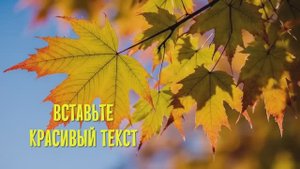 Осенняя пора Футажи для видеомонтажа скачай free